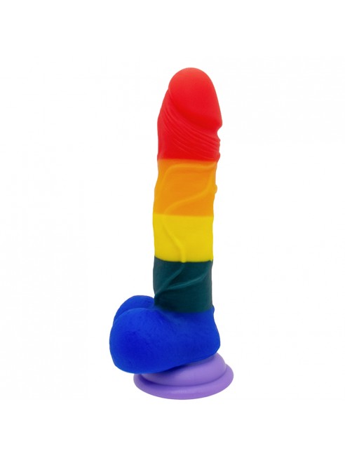 Gode ventouse multicolore 20 cm
